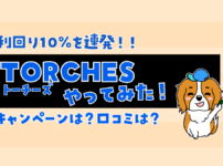 TORCHES　やってみた